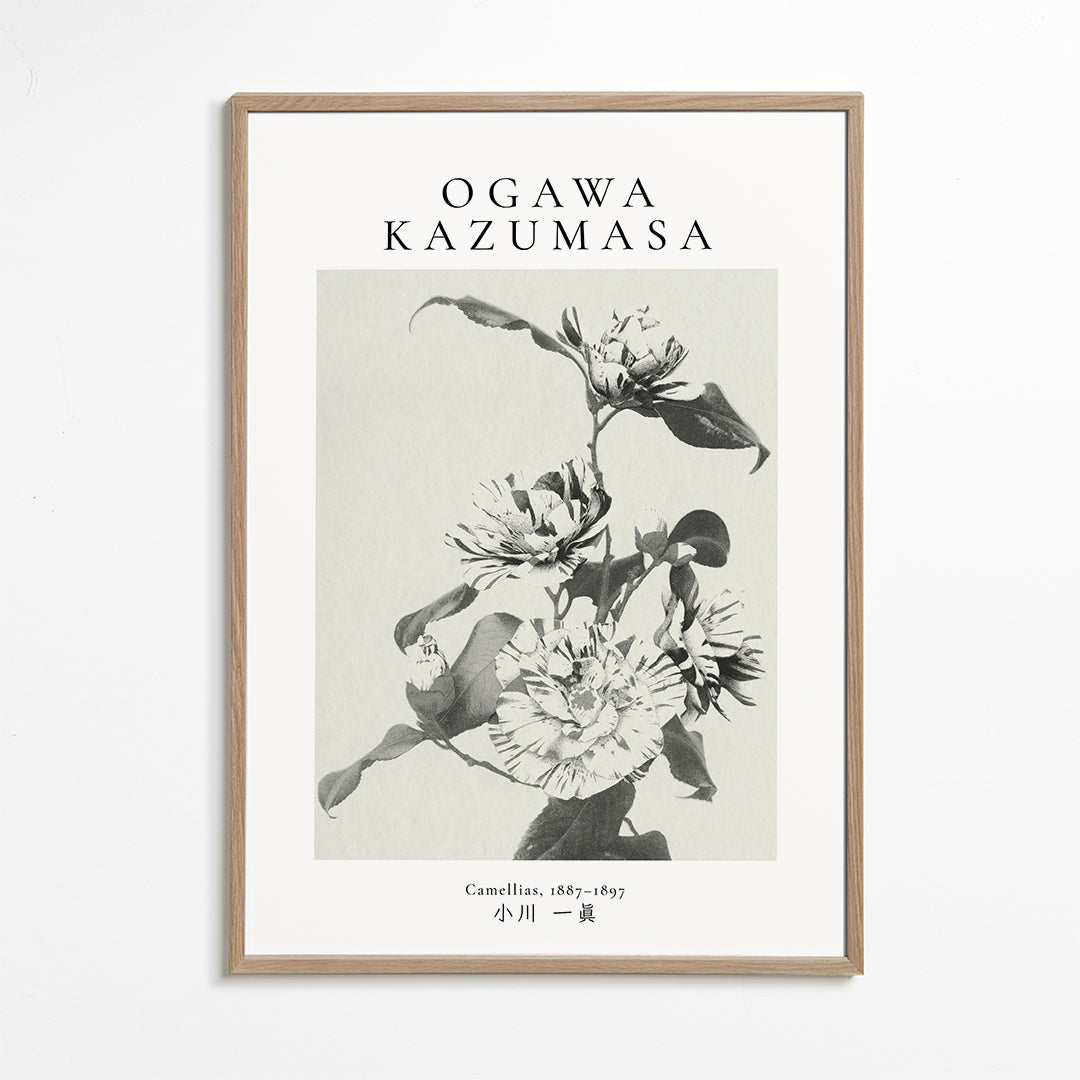 Lisslune | Striped Camellia Remix by Ogawa Kazumasa