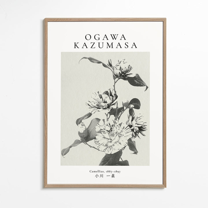 Lisslune | Striped Camellia Remix by Ogawa Kazumasa