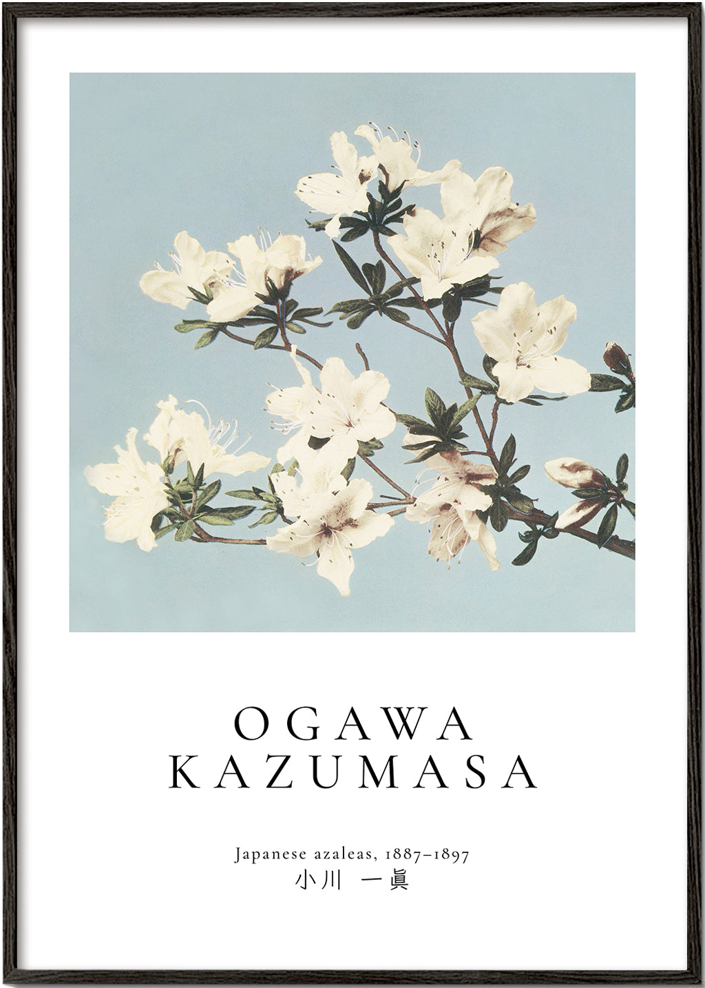 Lisslune | Japanese Azaleas from Ogawa Kazumasa