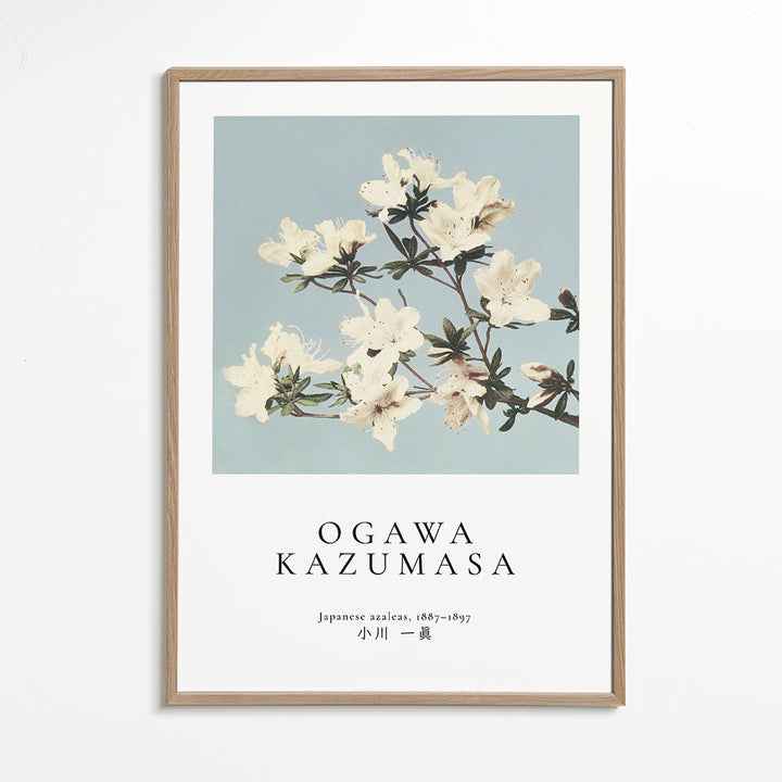 Lisslune | Japanese Azaleas from Ogawa Kazumasa