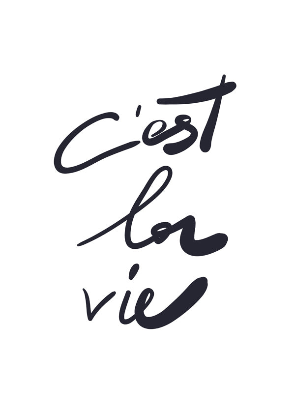 Lisslune | c'est la vie poster