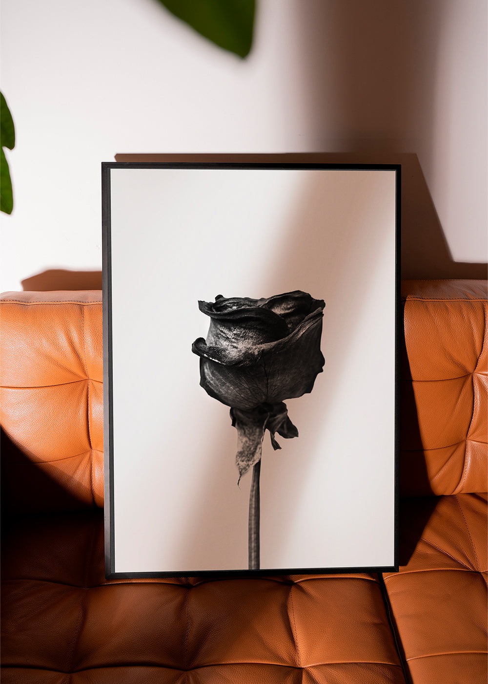 Lisslune | Dried Rose Black-White Photograph