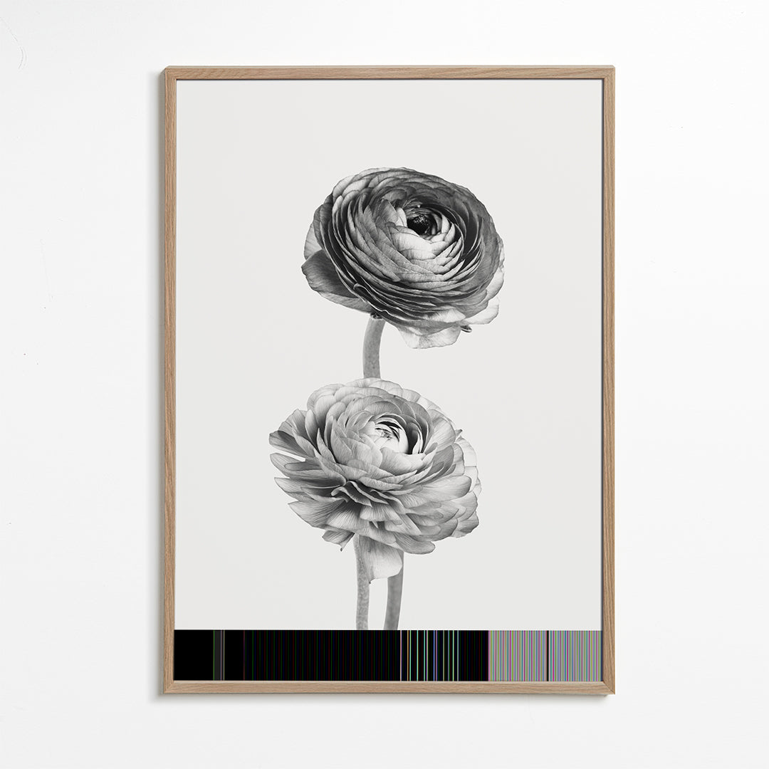 Lisslune | Flower black-white-photography