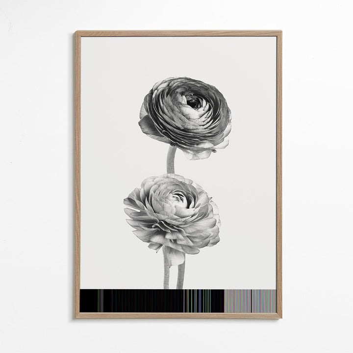 Lisslune | Flower black-white-photography