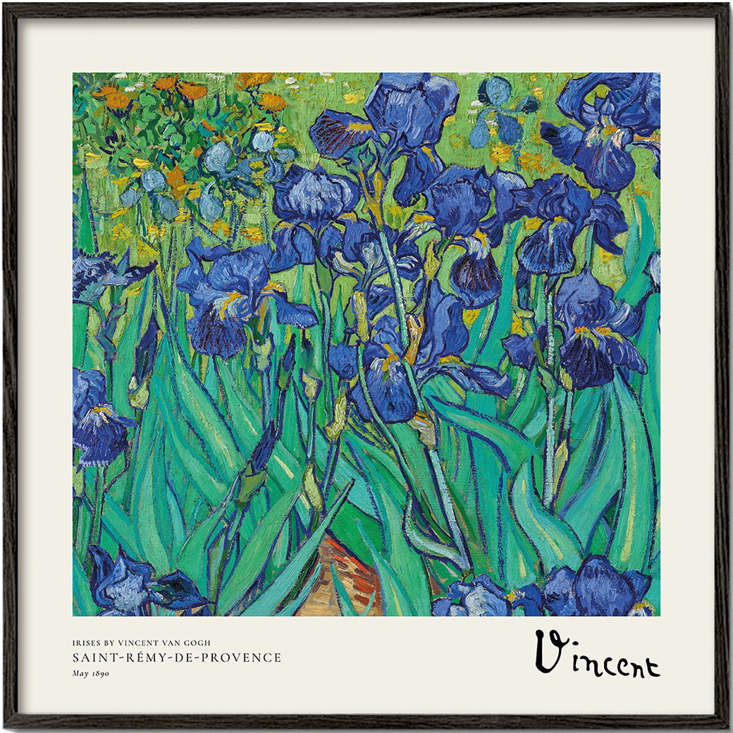 Lisslune | Irises by Vincent van Gogh - Square