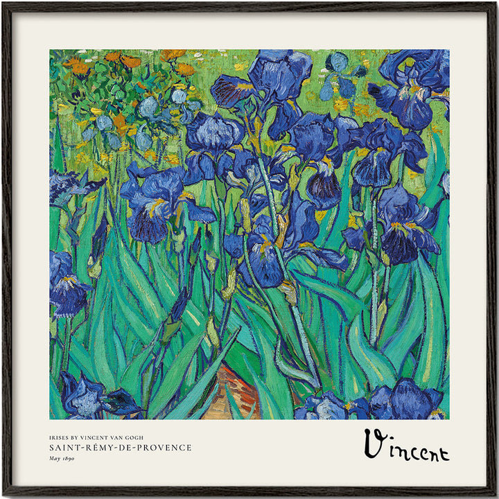 Lisslune | Irises by Vincent van Gogh - Square
