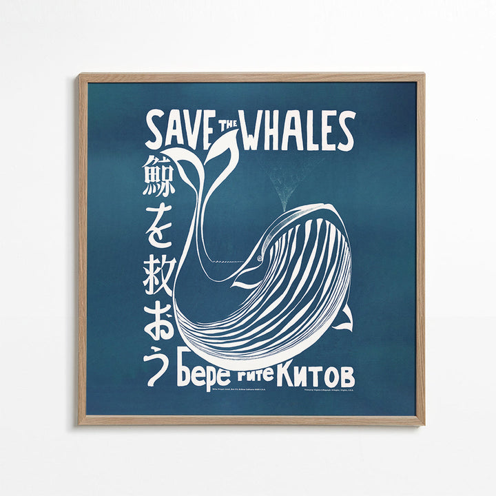 Lisslune | Save the Whales (1973) Vintage poster by Vint Lawrence - Square