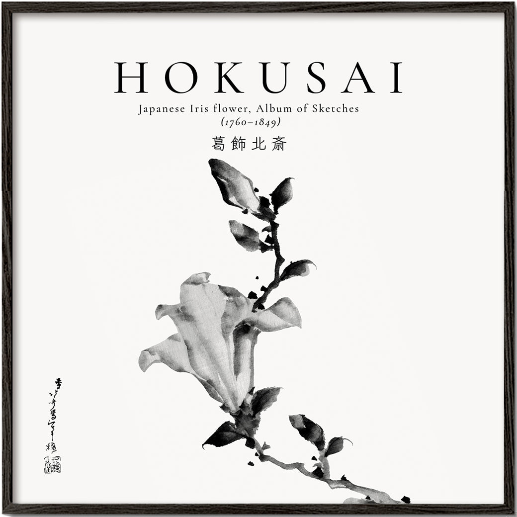 Lisslune | Japanese iris flower by Katsushika Hokusai - Square