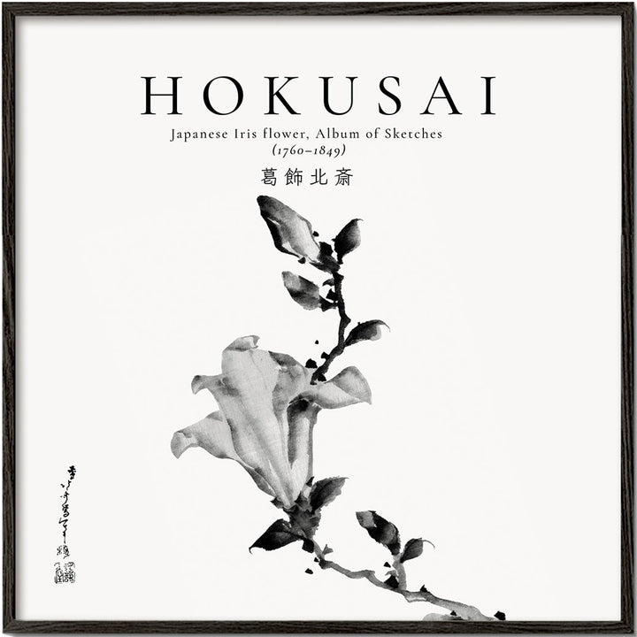 Lisslune | Japanese iris flower by Katsushika Hokusai - Square