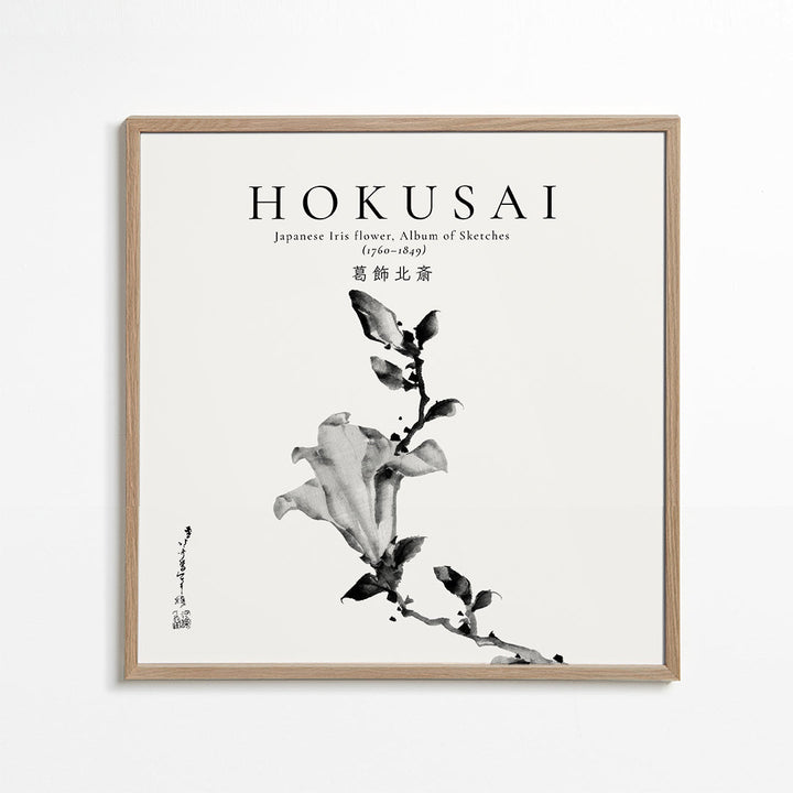 Lisslune | Japanese iris flower by Katsushika Hokusai - Square