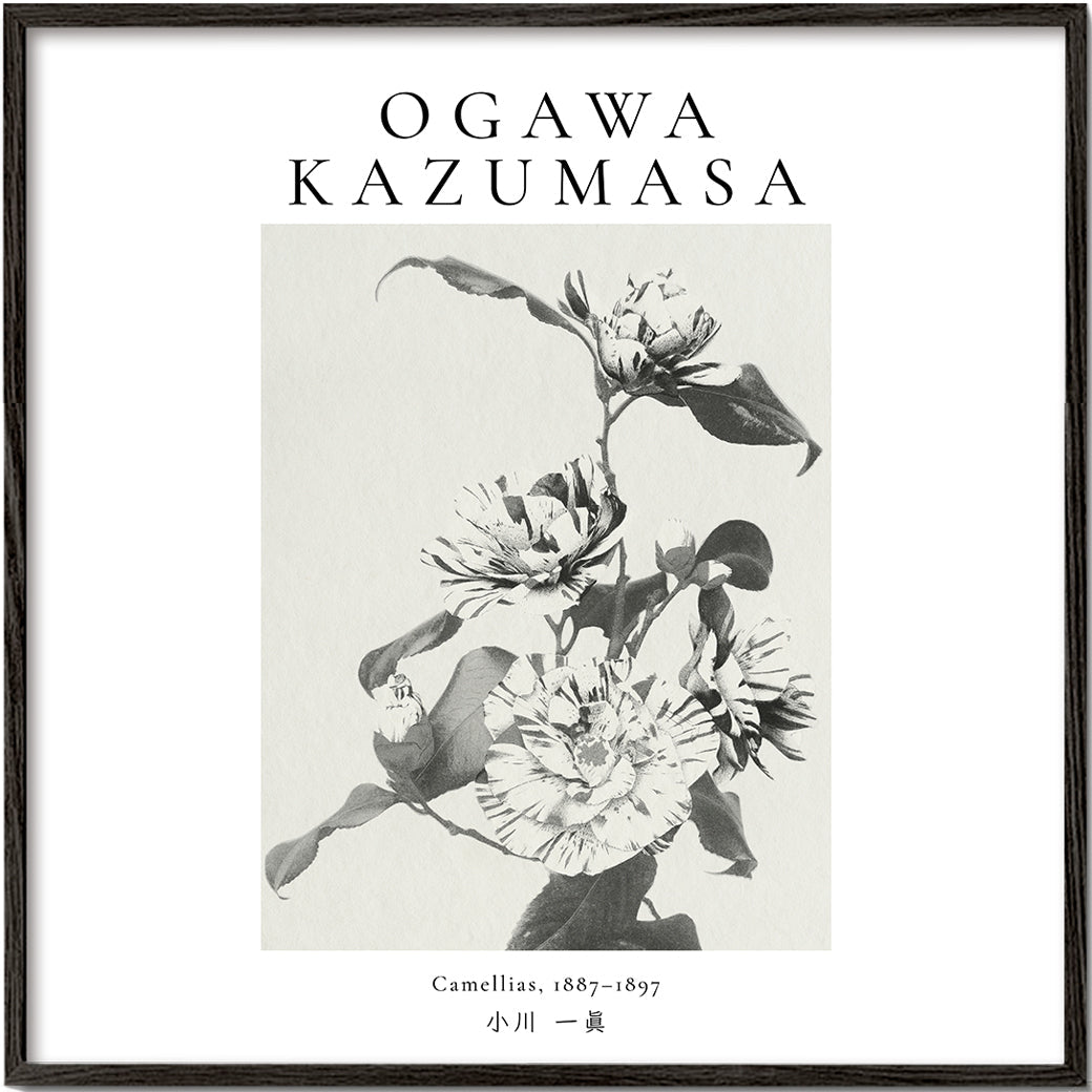 Lisslune | Striped Camellia Remix by Ogawa Kazumasa - Square
