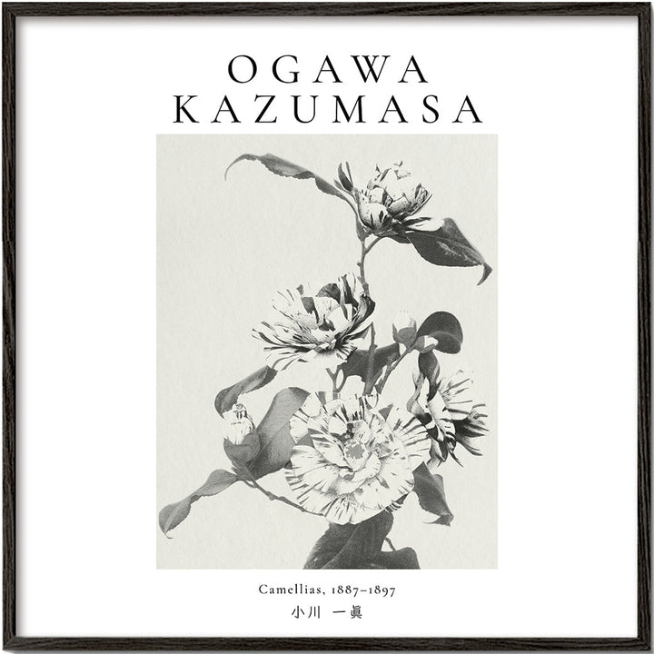 Lisslune | Striped Camellia Remix by Ogawa Kazumasa - Square