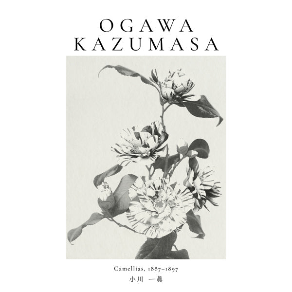 Lisslune | Striped Camellia Remix by Ogawa Kazumasa - Square