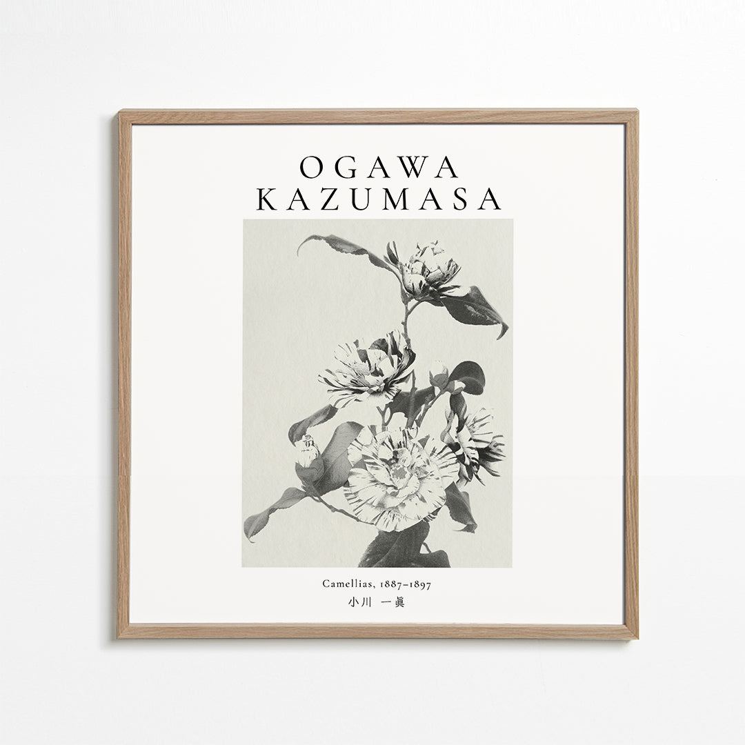 Lisslune | Striped Camellia Remix by Ogawa Kazumasa - Square
