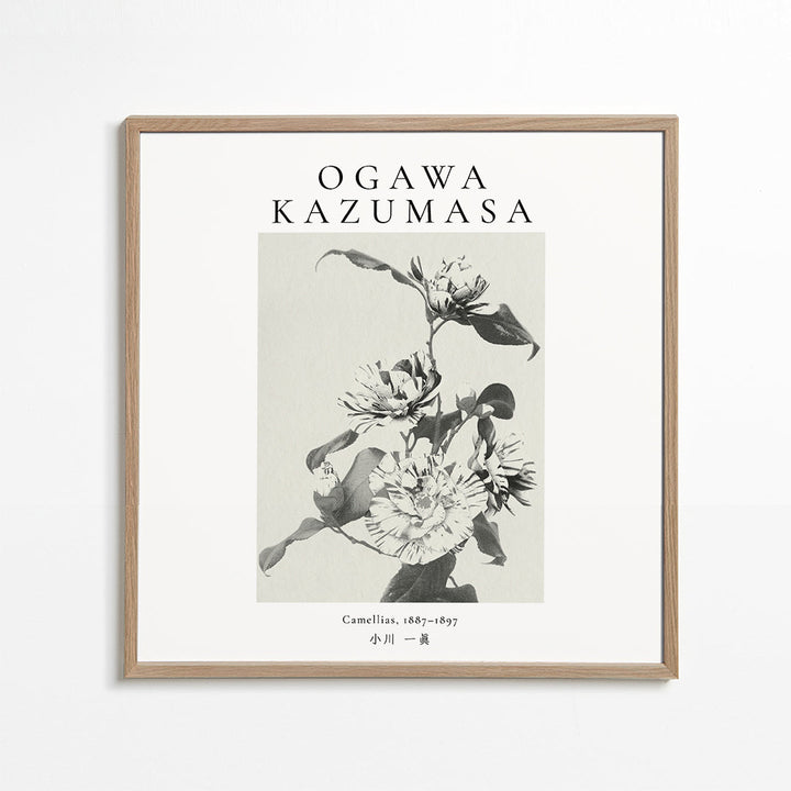 Lisslune | Striped Camellia Remix by Ogawa Kazumasa - Square