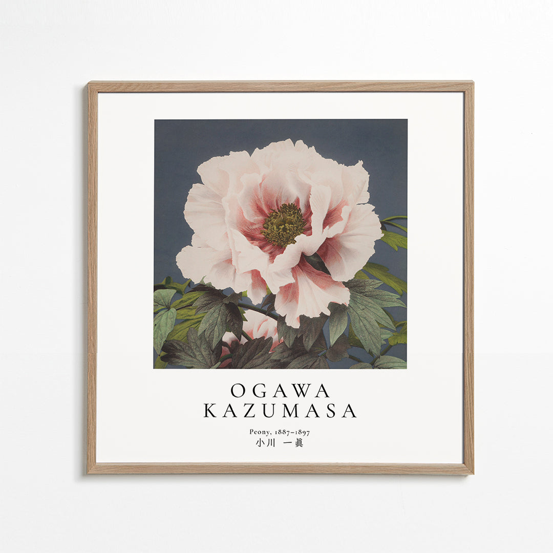 Lisslune | Peony by Ogawa Kazumasa - Square