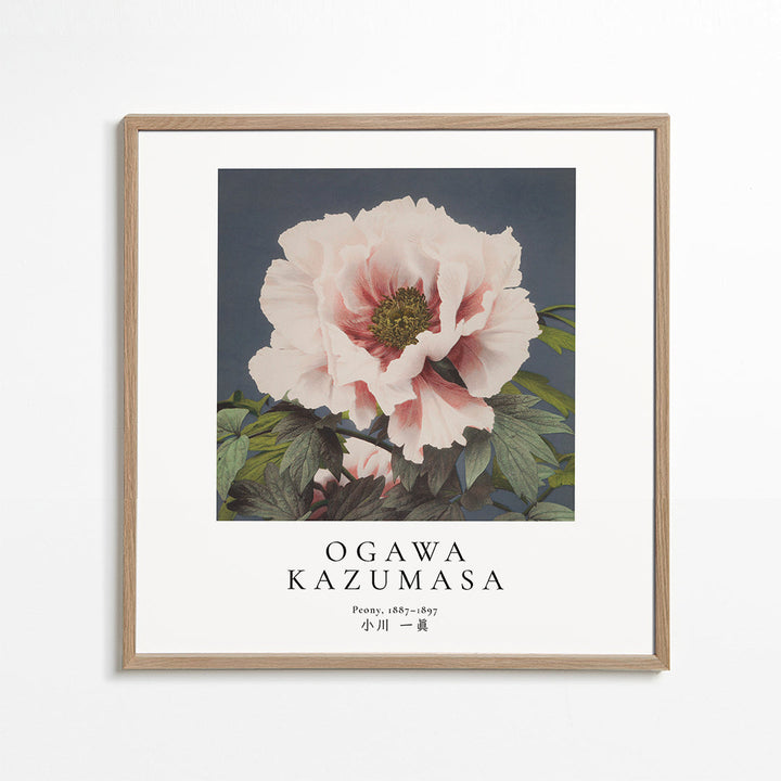 Lisslune | Peony by Ogawa Kazumasa - Square