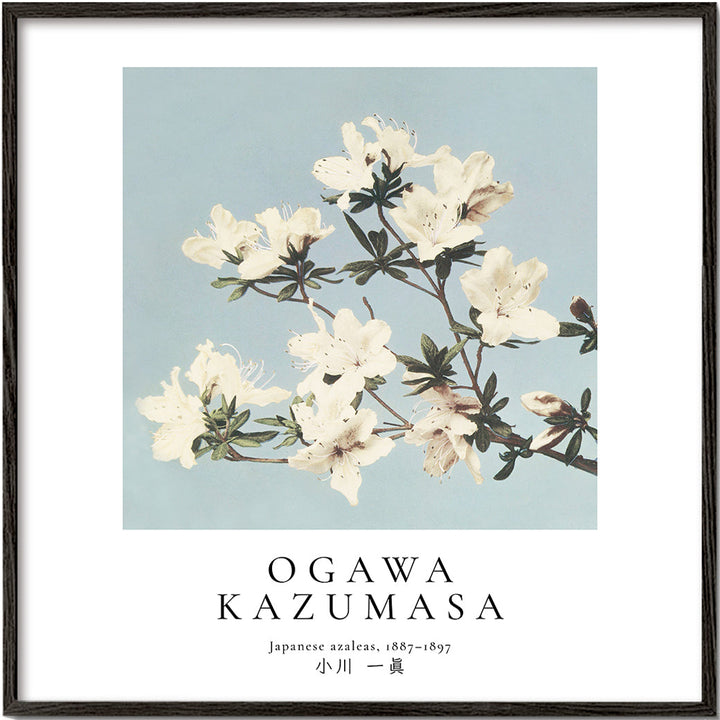 Lisslune | Japanese Azaleas by Ogawa Kazumasa - Square