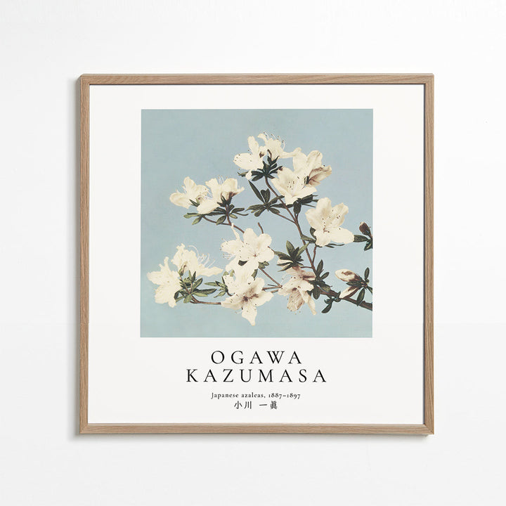 Lisslune | Japanese Azaleas by Ogawa Kazumasa - Square