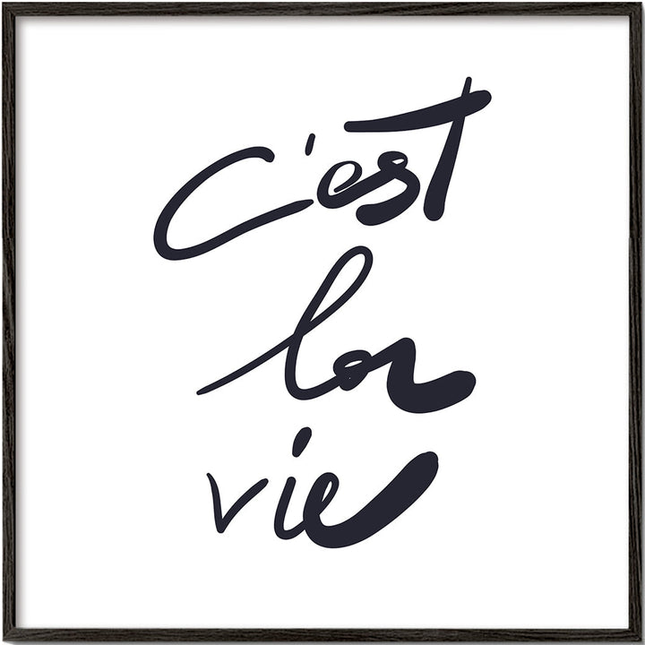 Lisslune | c'est la vie poster - Square