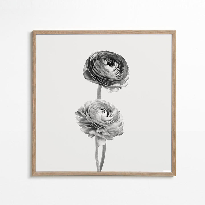 Lisslune | Flower black-white photographs - Square