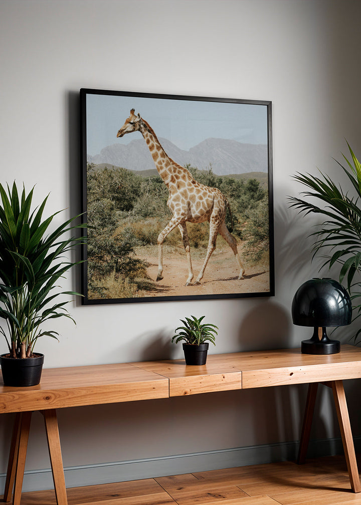 Lisslune | Giraffe photography - Square