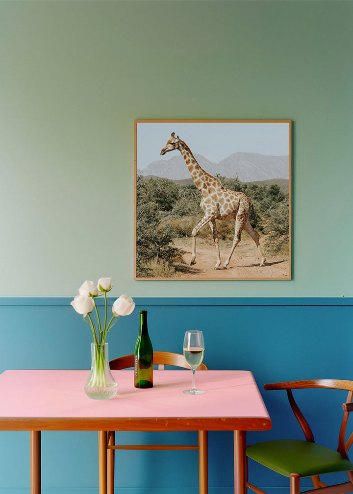 Lisslune | Giraffe photography - Square