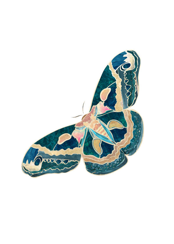 Lisslune | Turquoise Goldmott
