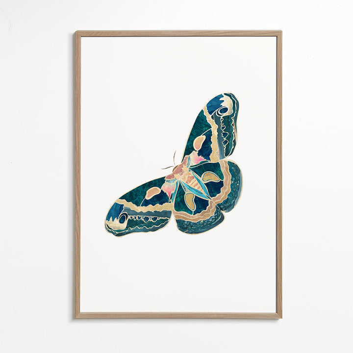 Lisslune | Turquoise Goldmott