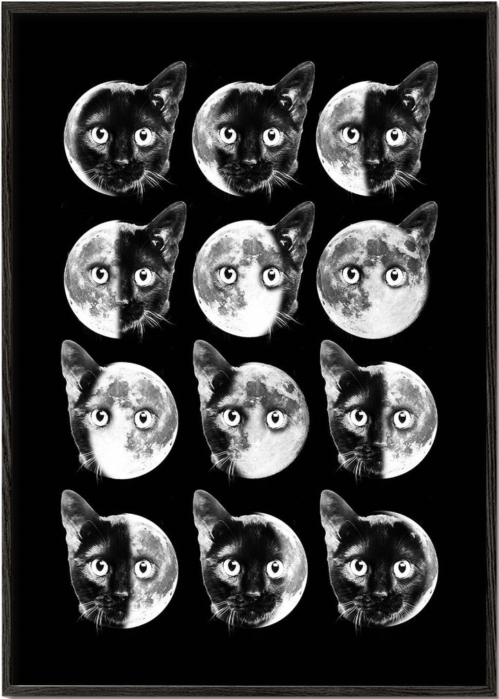 Lisslune | Cat Moon phases