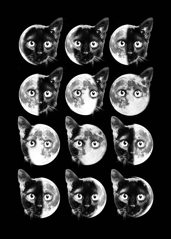 Lisslune | Cat Moon phases