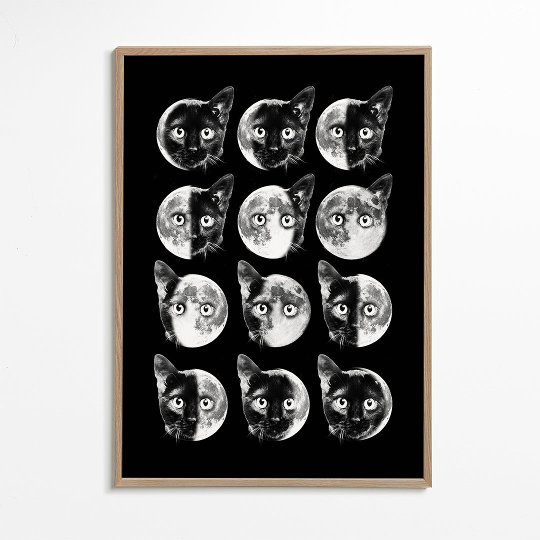Lisslune | Cat Moon phases