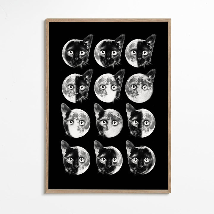 Lisslune | Cat Moon phases
