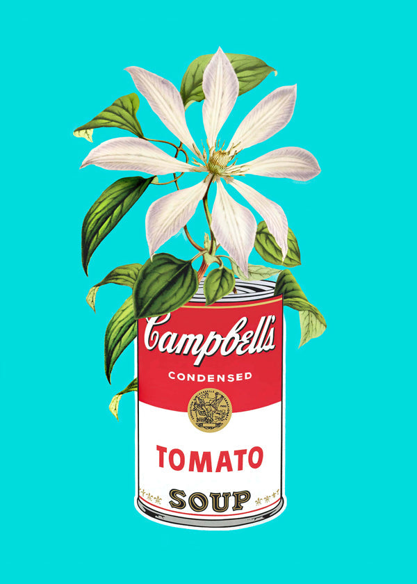 Lisslune | Floral Campbells