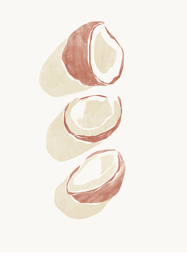 Lisslune | Tropical Coconuts