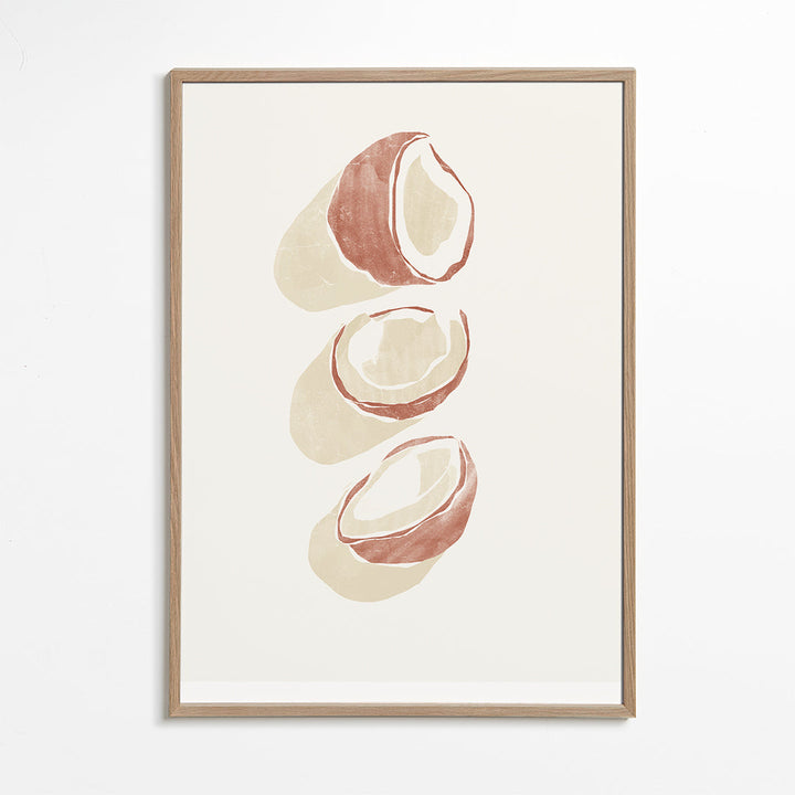 Lisslune | Tropical Coconuts