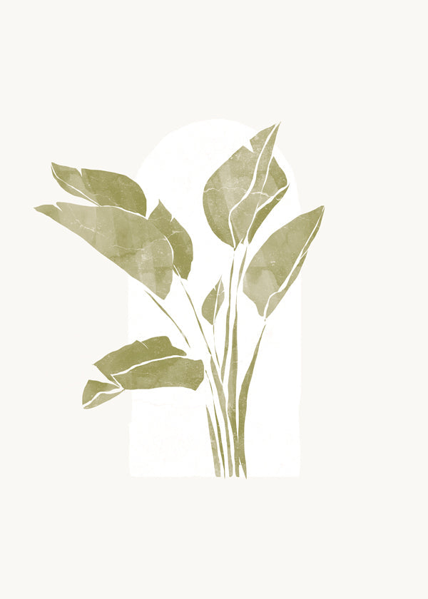 Lisslune | Tropical Window II