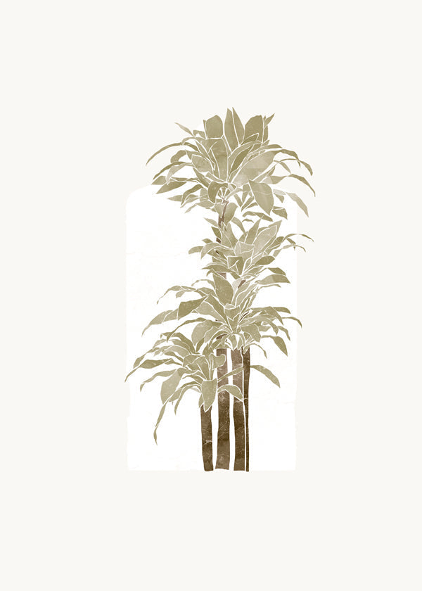 Lisslune | Tropical Window V