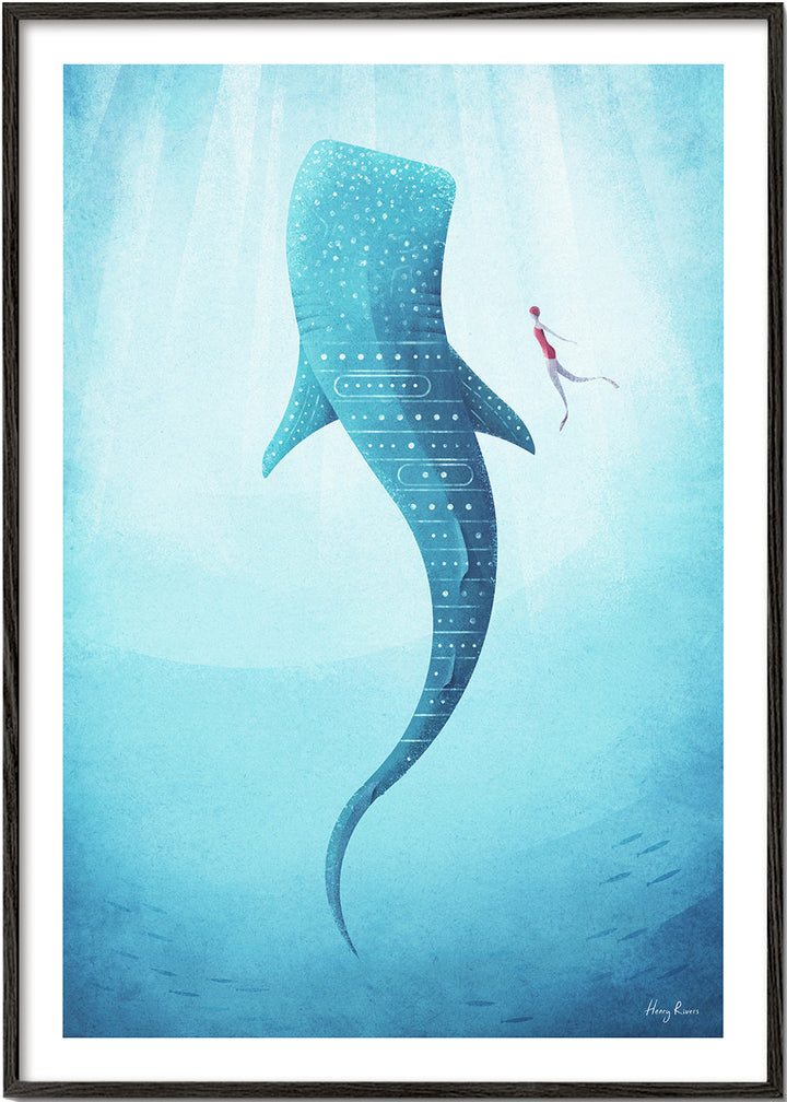 Lisslune | Whale shark