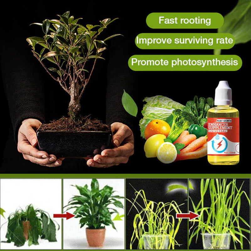 Lisslune | Plant Growth Enhancer Supplement
