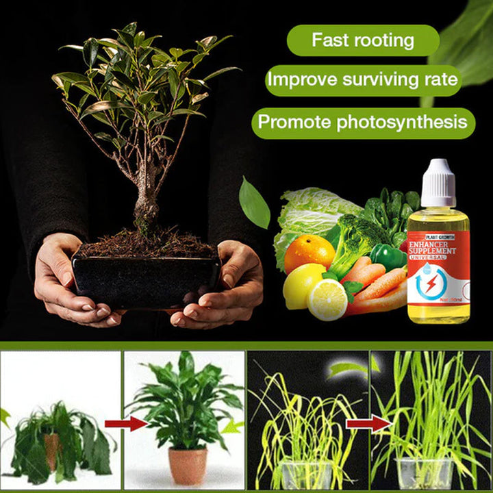 Lisslune | Plant Growth Enhancer Supplement
