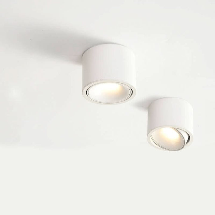 Lisslune | Adjustable LED Flush Mount Ceiling Spotlight