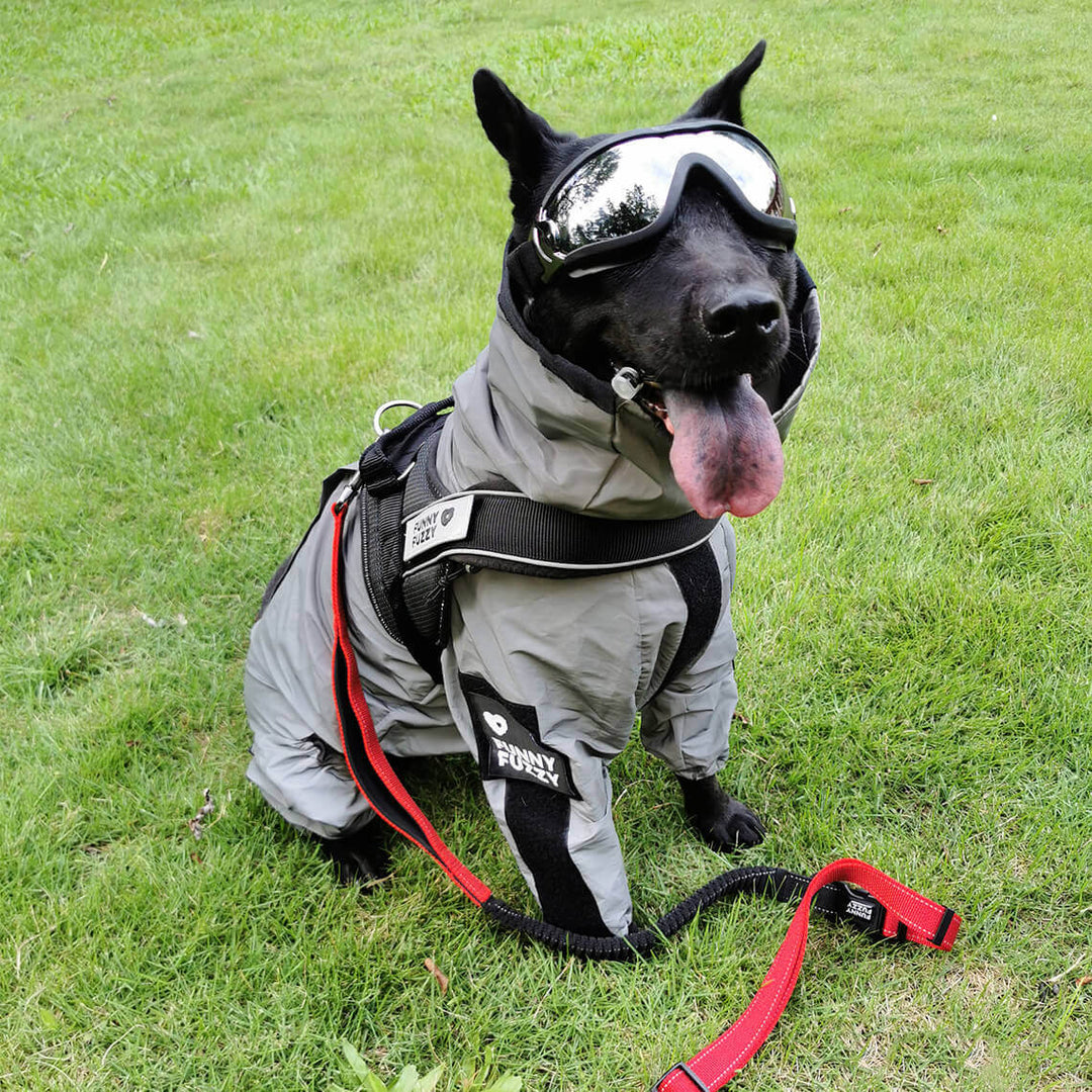 Lisslune | Reflective All-Weather Waterproof Cool Dog Accessories Raincoat