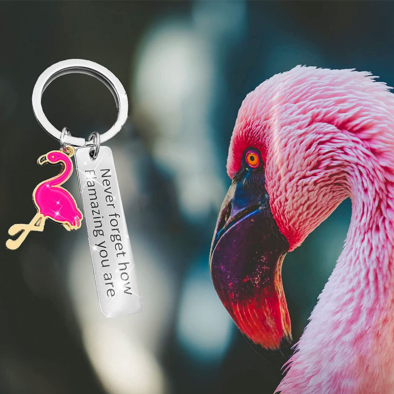 Lisslune | Motivational Flamingo Keychain