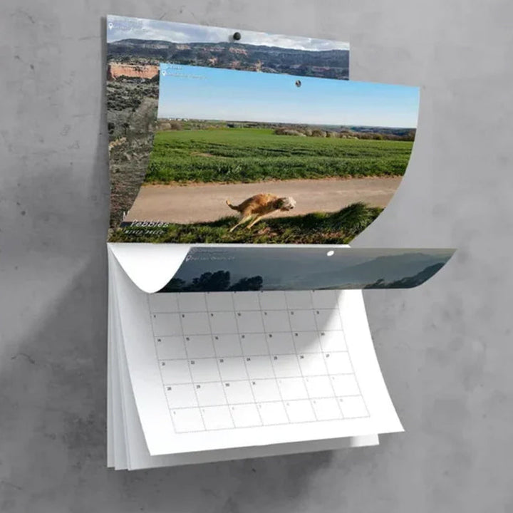 Lisslune | Pooping Pooches Dog Calendar