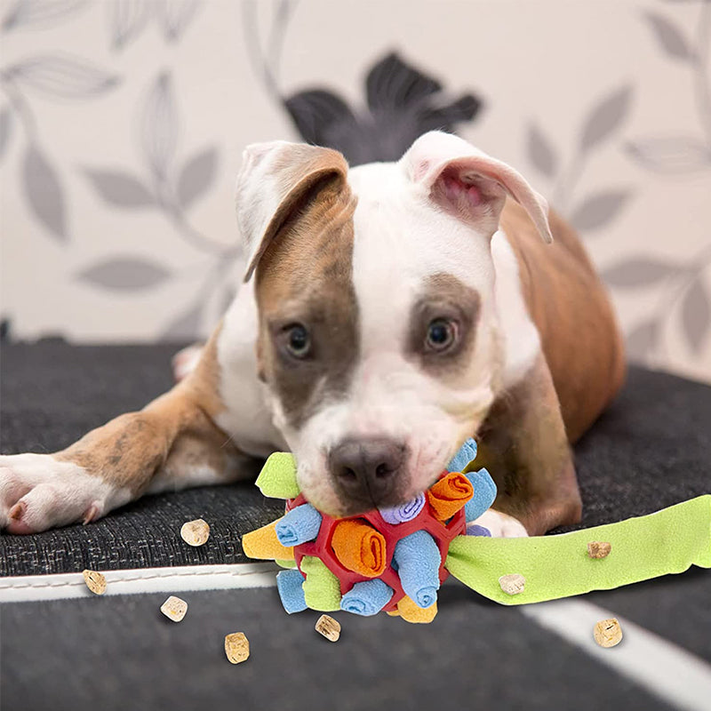 Lisslune | Chew toy for dogs