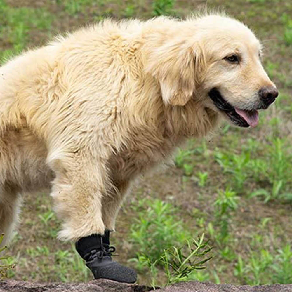 Lisslune | Outdoor waterproof breathable hiking running non-slip dog shoes