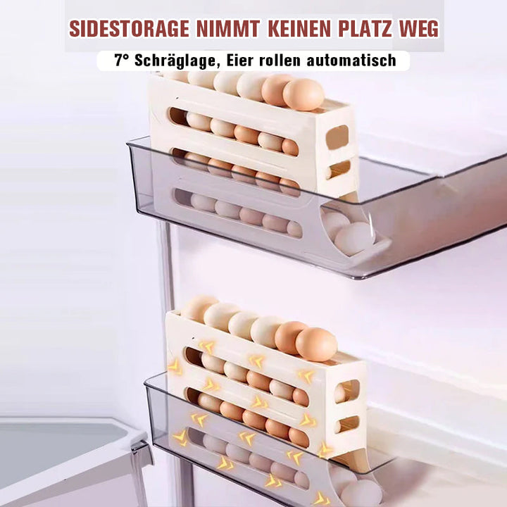 Lisslune | Four-layer egg storage shelf
