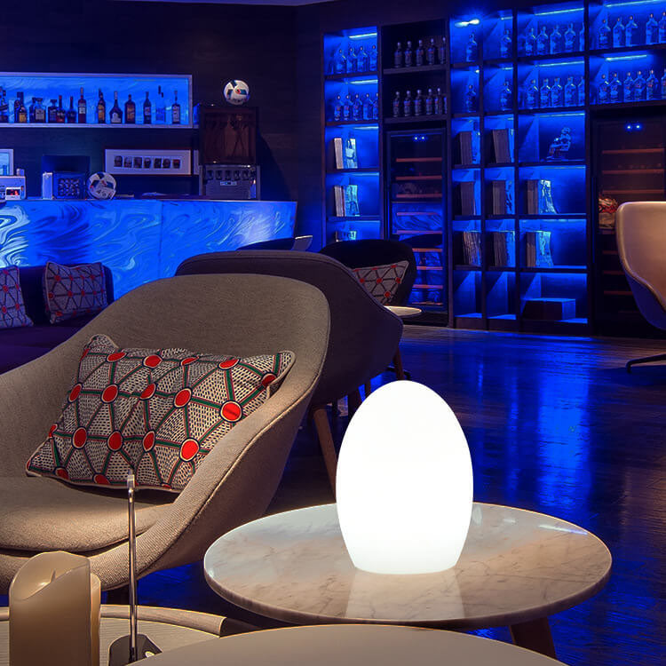 Lisslune | RGB ABS Egg-shaped LED Decorative Table Lamp