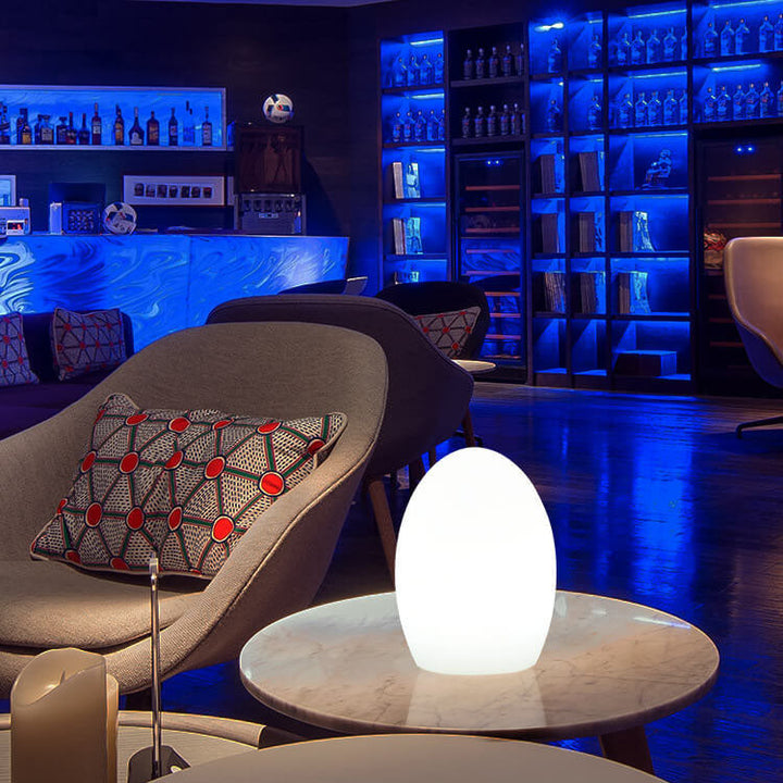 Lisslune | RGB ABS Egg-shaped LED Decorative Table Lamp